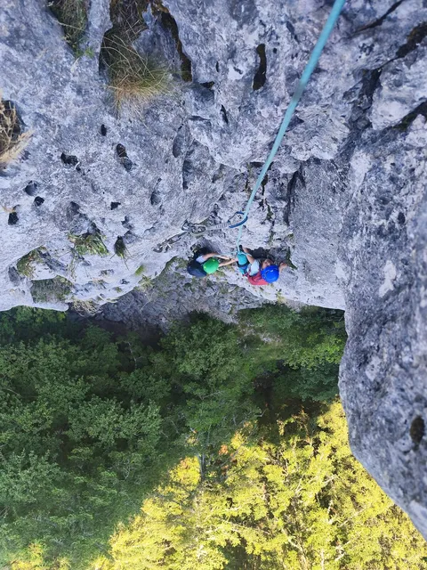 Parcours encordé (via-corda) au-dessus de la forêt