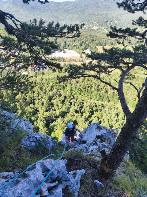 Parcours encordé au-dessus de la forêt, ambiance de stage