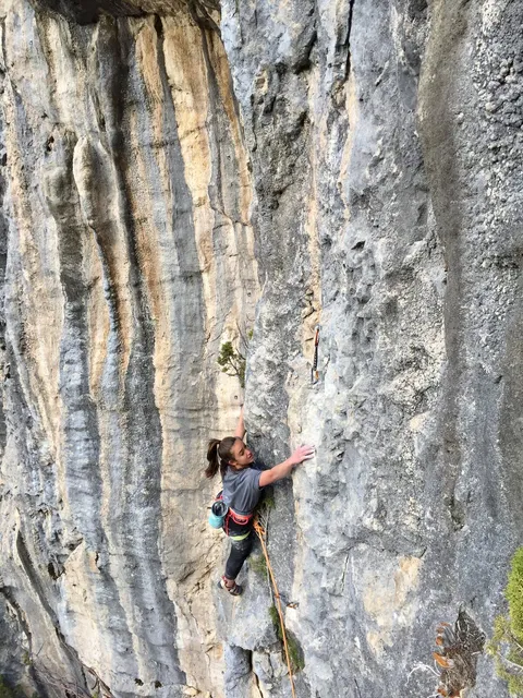 Escalade sur une paroi à colonnettes dans le Vercors
